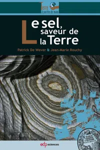 Le sel, saveur de la Terre_cover