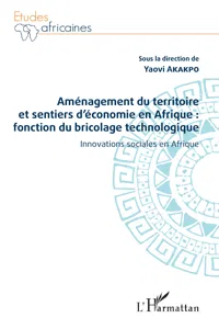 Aménagement du territoire et sentiers d'économie en Afrique : fonction du bricolage technologique_cover