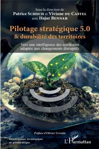 Pilotage stratégique 5.0 et durabilité des territoires_cover