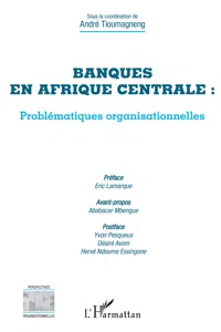 Banques en Afrique centrale : problématiques organisationnelles_cover