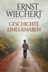 Geschichte eines Knaben_cover