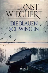 Die blauen Schwingen_cover