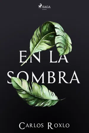 En la sombra