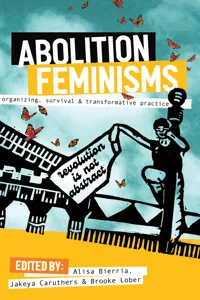 Abolition Feminisms Vol. 1_cover