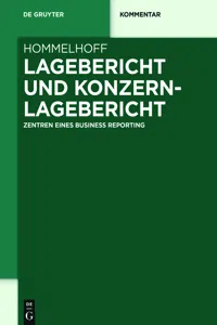 Lagebericht und Konzernlagebericht_cover