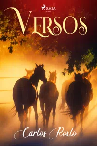 Versos_cover