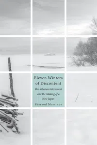 Eleven Winters of Discontent_cover