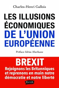 Les Illusions économiques de l'Union européenne_cover