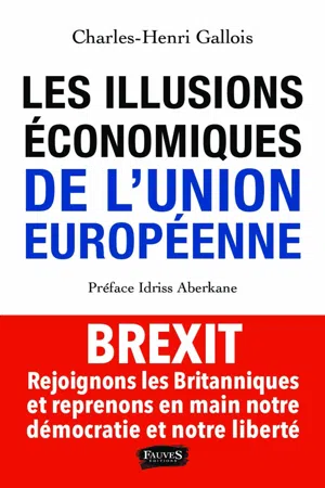 Les Illusions économiques de l'Union européenne