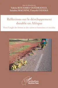 Réflexions sur le développement durable en Afrique_cover