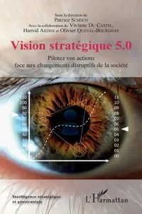 Vision stratégique 5.0_cover