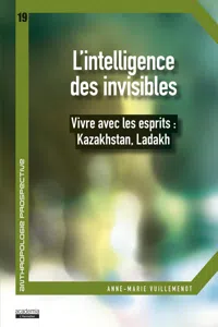 L'intelligence des invisibles_cover