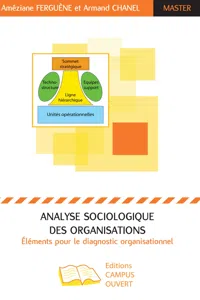 Analyse sociologique des organisations_cover