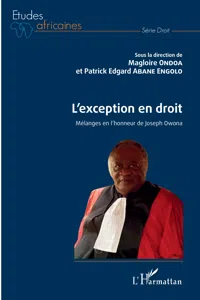 L'exception en droit_cover