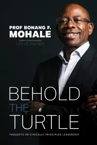 Behold the Turtle_cover