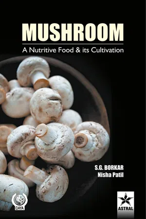 Mushroom: A Nutritive Food and its Cultivation