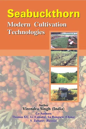 Seabuckthorn: Modern Cultivation Technologies