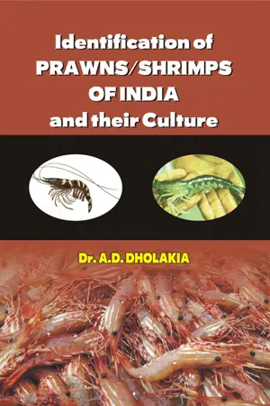 Identification of Prawns/Shrimps and their Culture