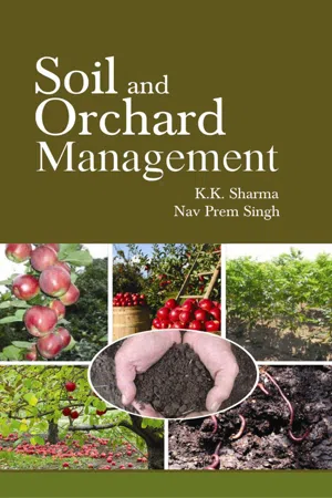 Soil and Orchard Management