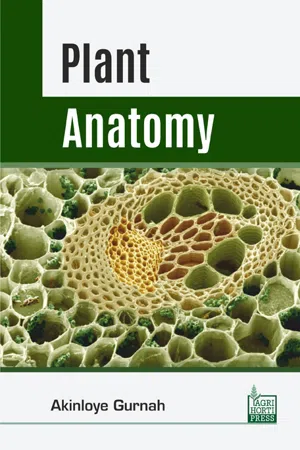 Plant Anatomy