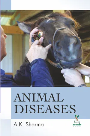 Animal Diseases