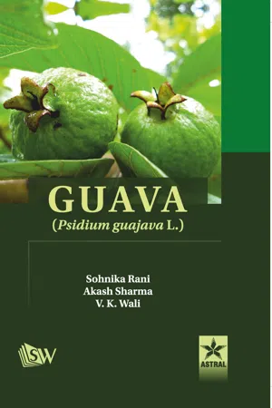 Guava: Psidium Guajava L.
