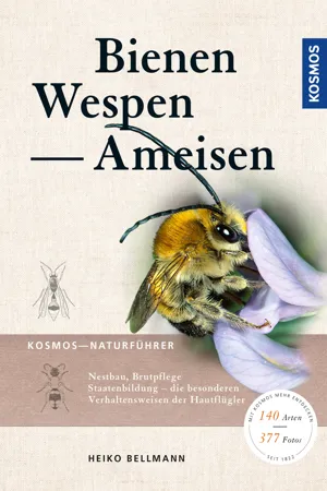 Bienen, Wespen, Ameisen