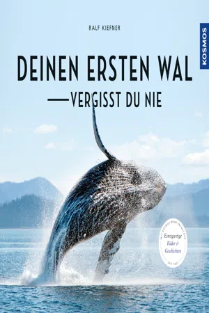 Deinen ersten Wal vergisst Du nie...