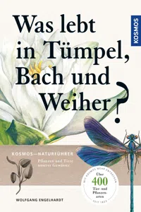 Was lebt in Tümpel, Bach und Weiher_cover