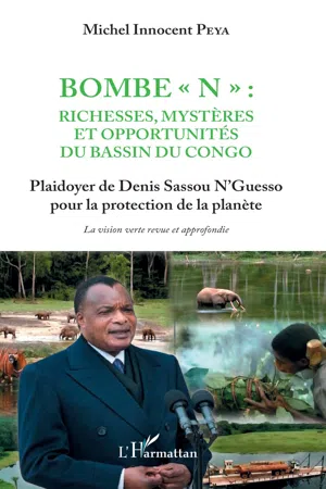 Bombe "N" : Richesses, mystères et opportunités du bassin du Congo