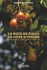 La noix de cajou en Côte d'Ivoire_cover