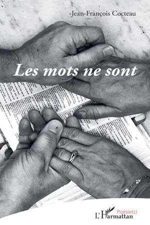 Les mots ne sont