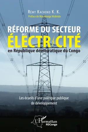Réforme du secteur de l'électricité en République démocratique du Congo