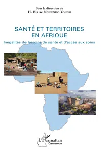 Santé et territoires en Afrique_cover