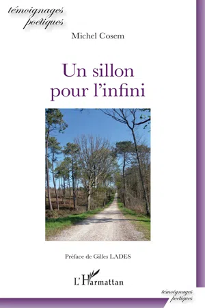 Un sillon pour l'infini