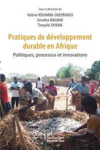 Pratiques de développement durable en Afrique_cover