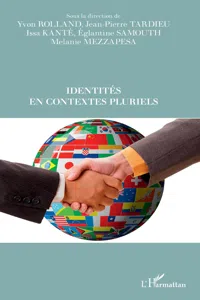 Identités en contextes pluriels_cover