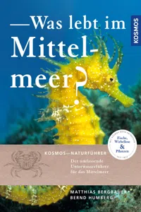 Was lebt im Mittelmeer_cover