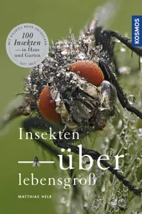 Insekten überlebensgroß_cover