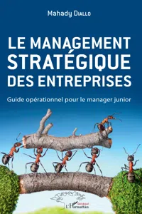 Le management stratégique des entreprises_cover