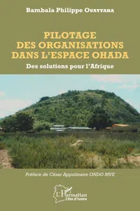 Pilotage des organisations dans l'espace OHADA_cover