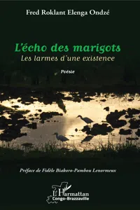 L'écho des marigots_cover