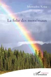 La folie des mots/maux_cover