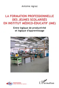 La formation professionnelle des jeunes scolarisés en istitut médico-éducatif_cover