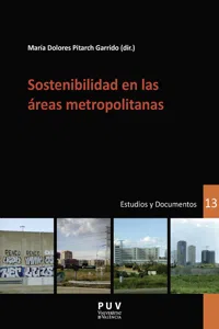 Sostenibilidad en las áreas metropolitanas_cover