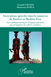 Innovations agricoles dans la commune de Banfora au Burkina Faso_cover