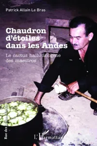 Chaudron d'étoiles dans les Andes_cover