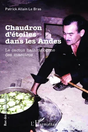 Chaudron d'étoiles dans les Andes