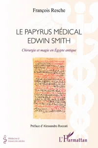 Papyrus médical Edwin Smith_cover