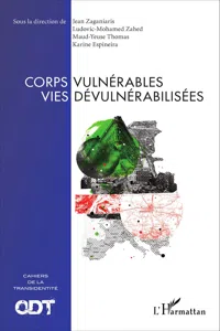 Corps vulnérables vies dévulnérabilisées_cover